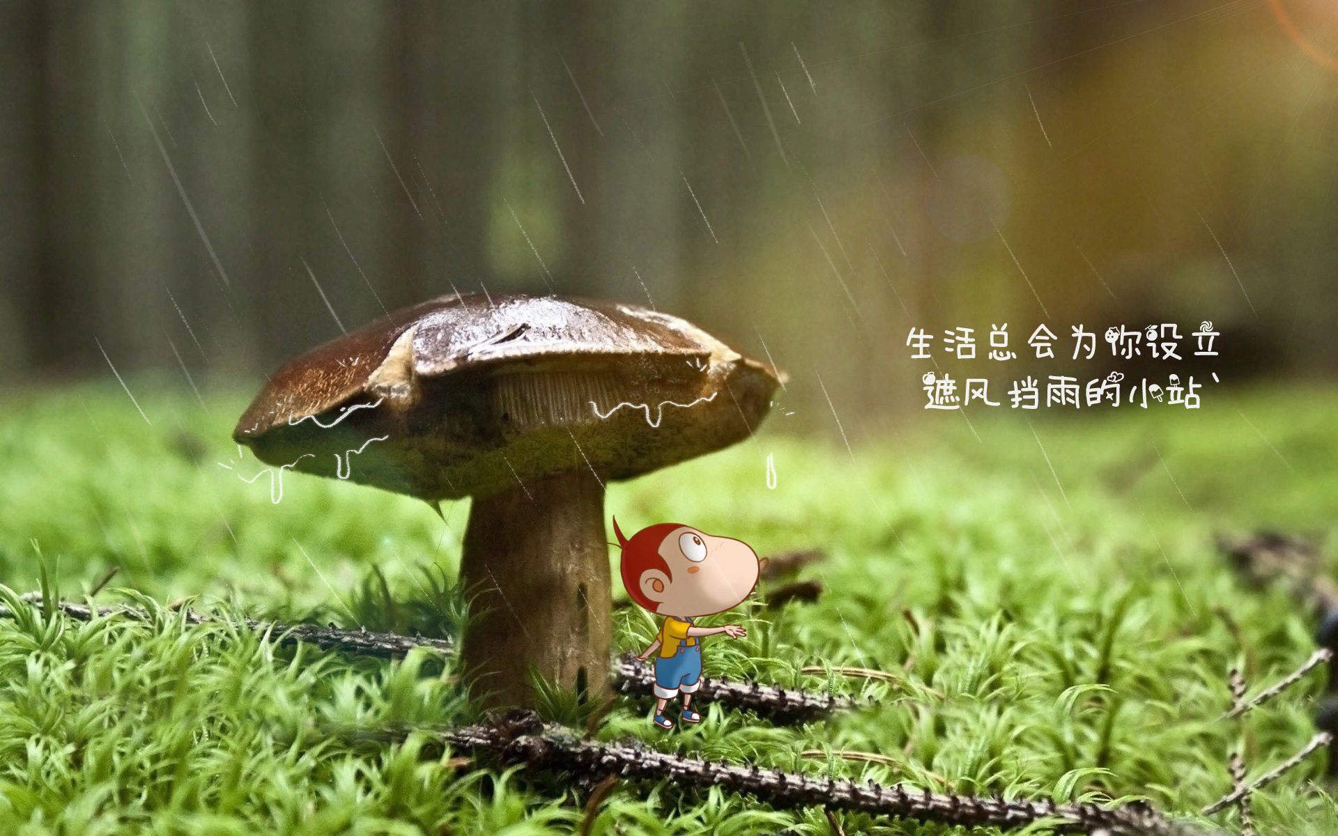 法甲青训营融合认知行为干预提升高压比赛心理复原力