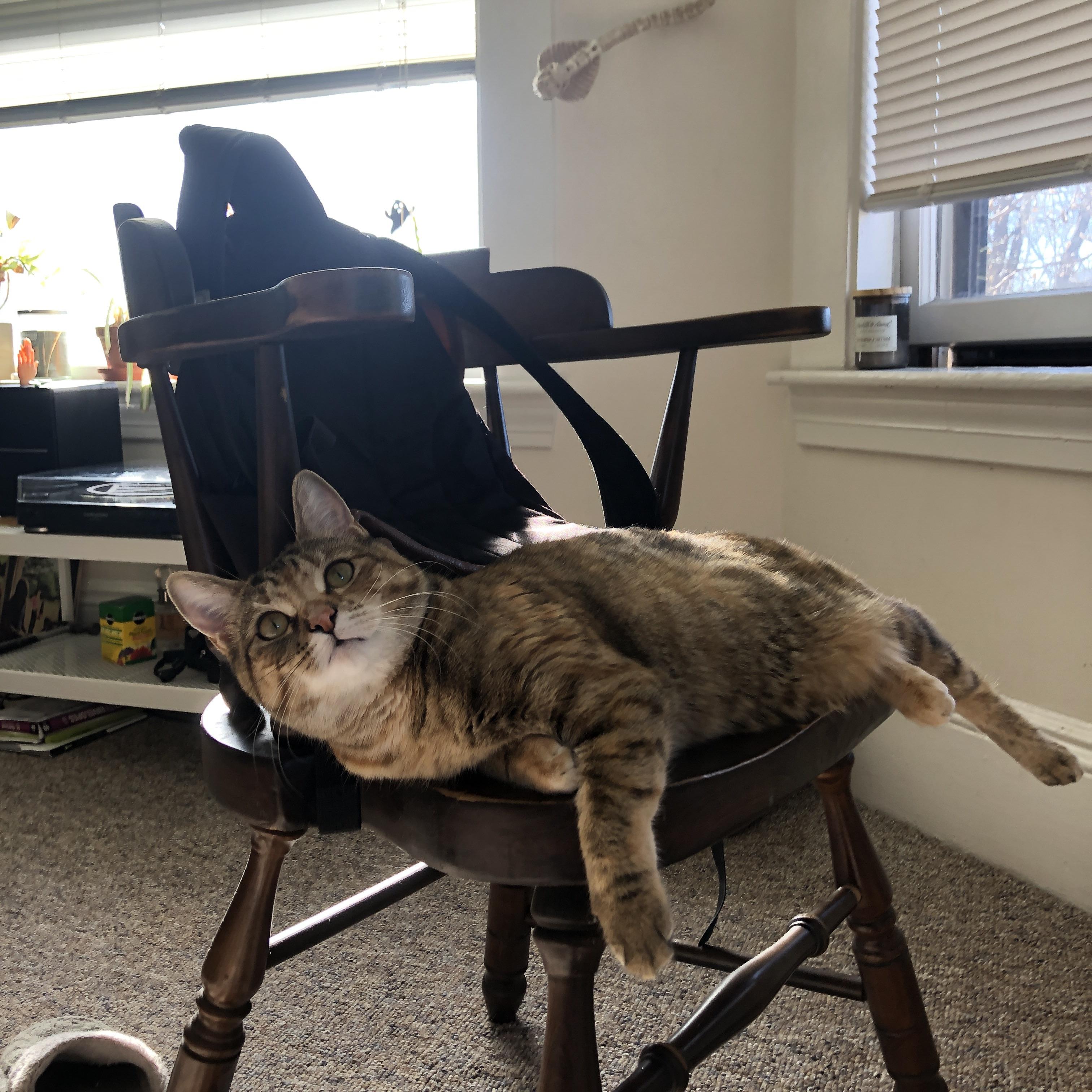 高校体育专业学生职业发展路径研究,体育类大学生职业生涯规划