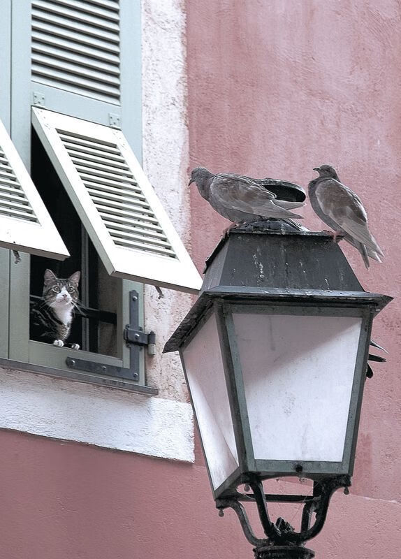 开云体育登录-LCK强队战术全面升级打法更具侵略性，lck队伍hle