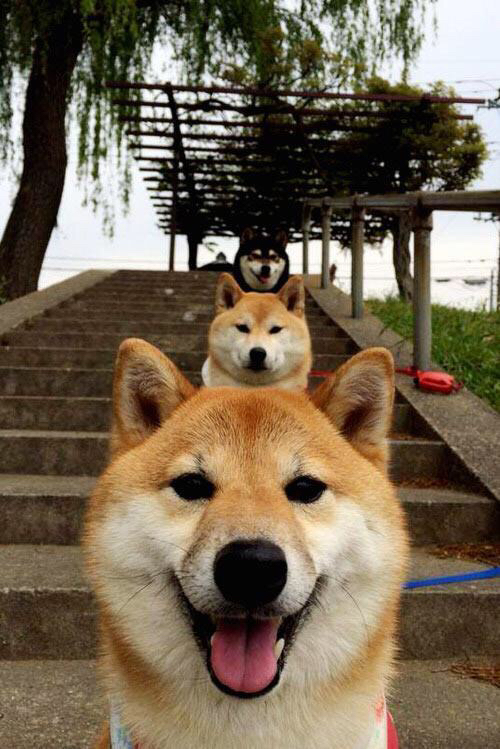 开云在线登入-奥预赛国家队惨败 球迷反思训练方法，国奥踢联赛