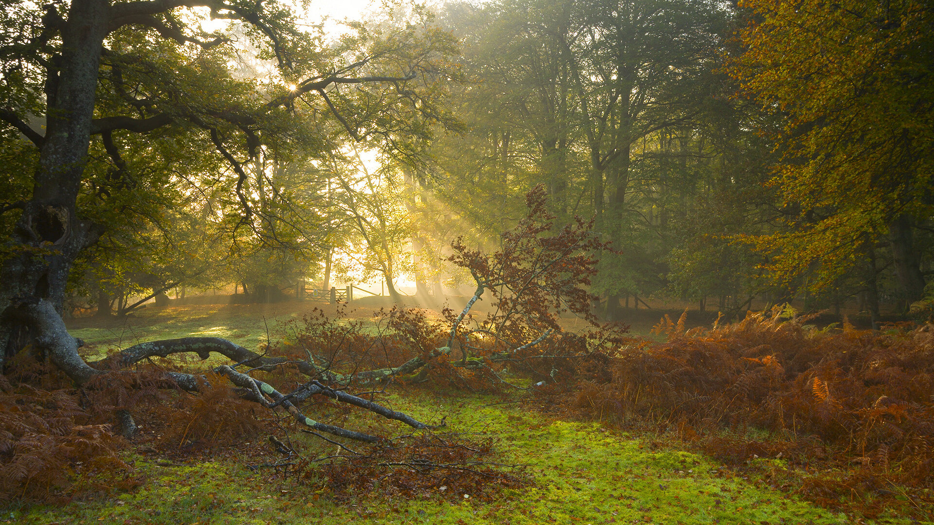 开云体育在线入口-田径短跑训练营加入节奏控制模块，田径短跑教学