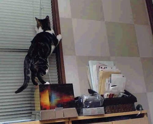 开云官网-76人新秀在训练中展现出色阅读比赛能力，76人新球员