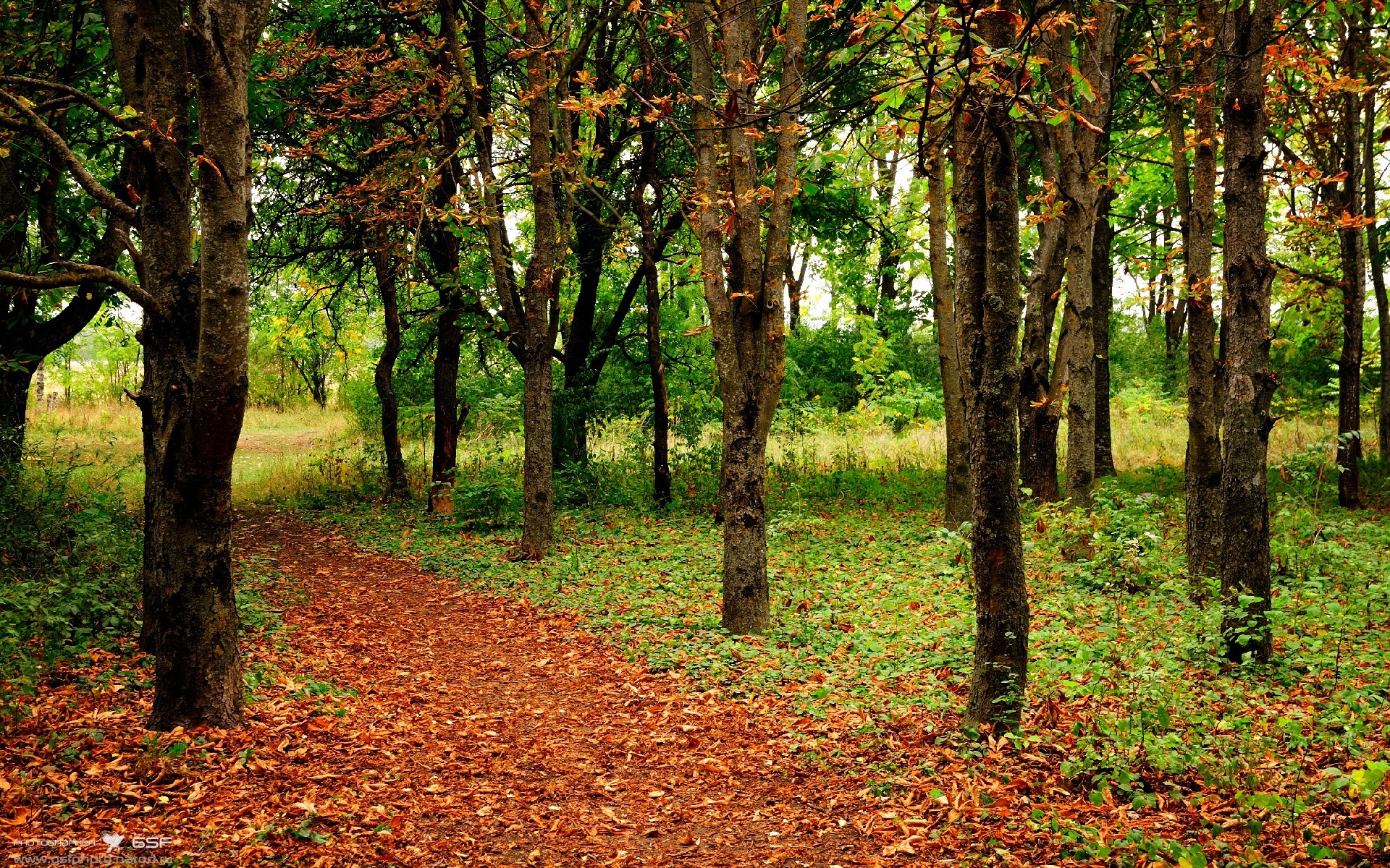 开云体育网站-柯尔赞200米仰泳冲刺阶段表现抢眼