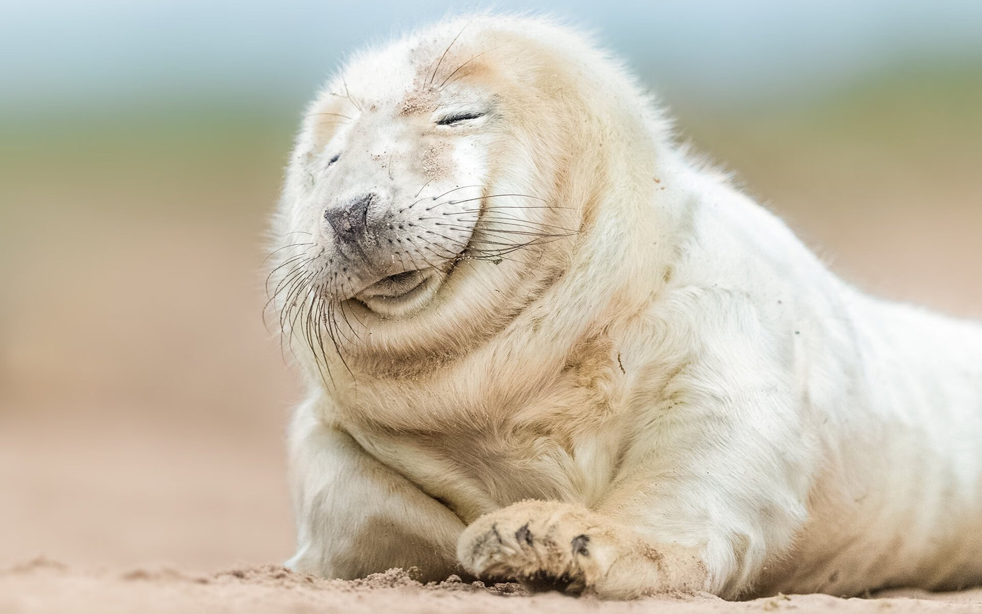 开云体育在线-法甲年轻力量：未来巨星即将腾飞！，法甲青训