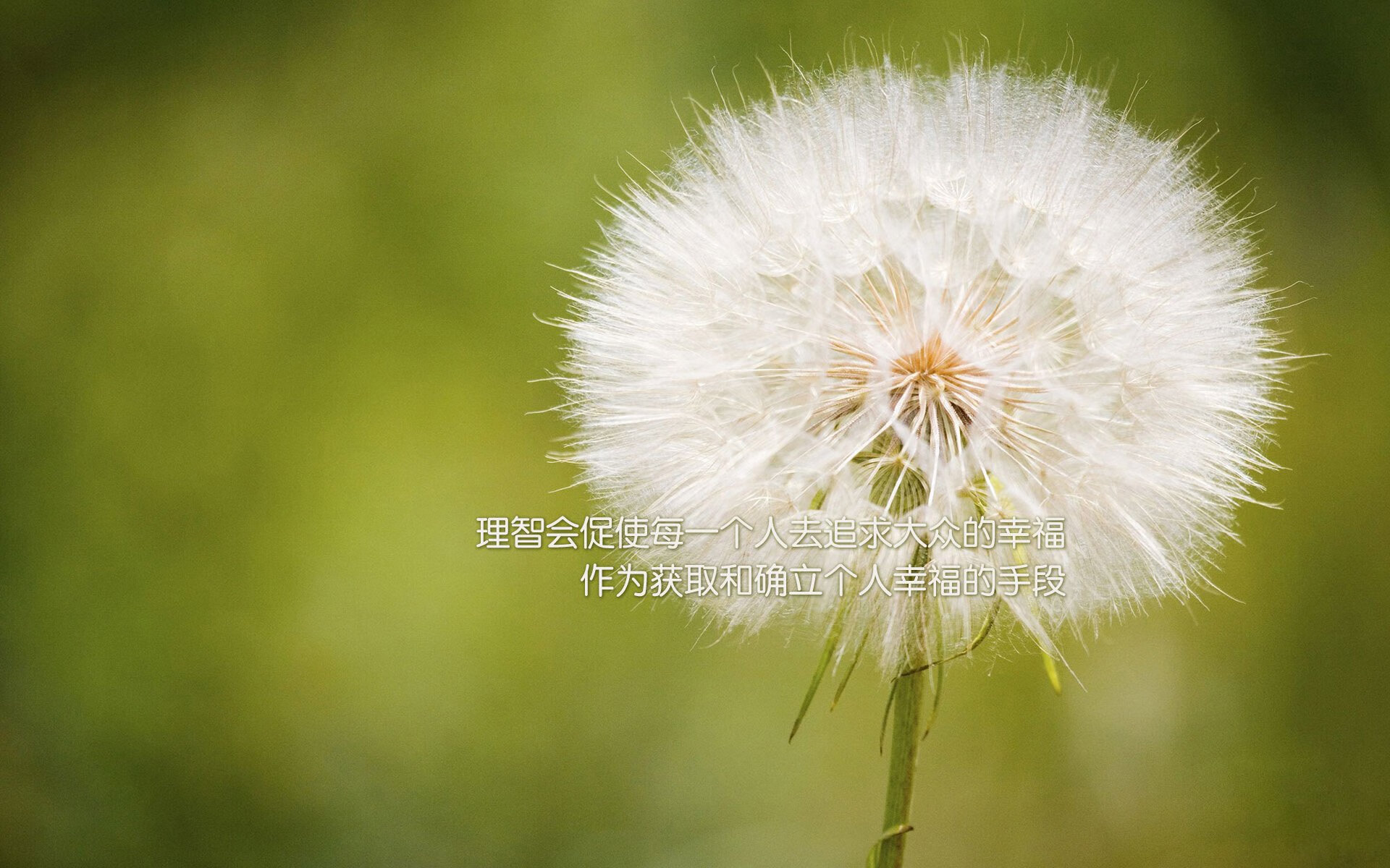 特殊战术布置成功限制对手核心成为本场胜负关键，特殊战术名词解释