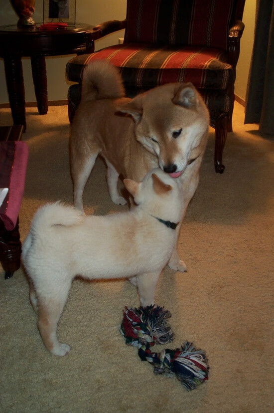 篮球明星慈善赛筹备工作有序推进，nba球员做慈善