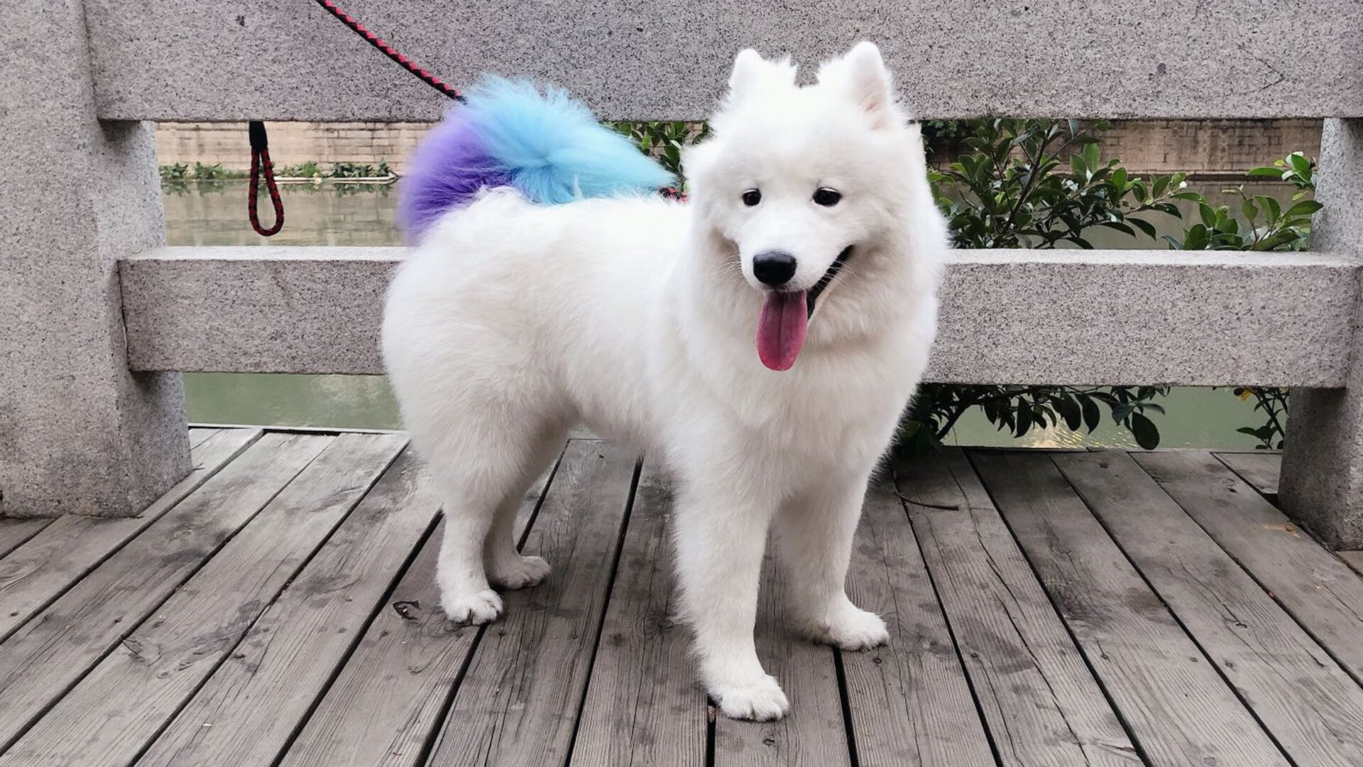 开云体育app下载-职业联赛鼓励原创球迷口号增强主场独特氛围，球队鼓励